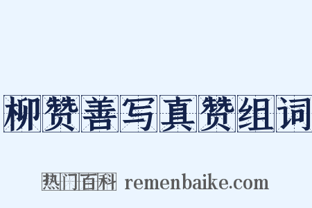 柳赞善写真赞组词是什么意思的图片